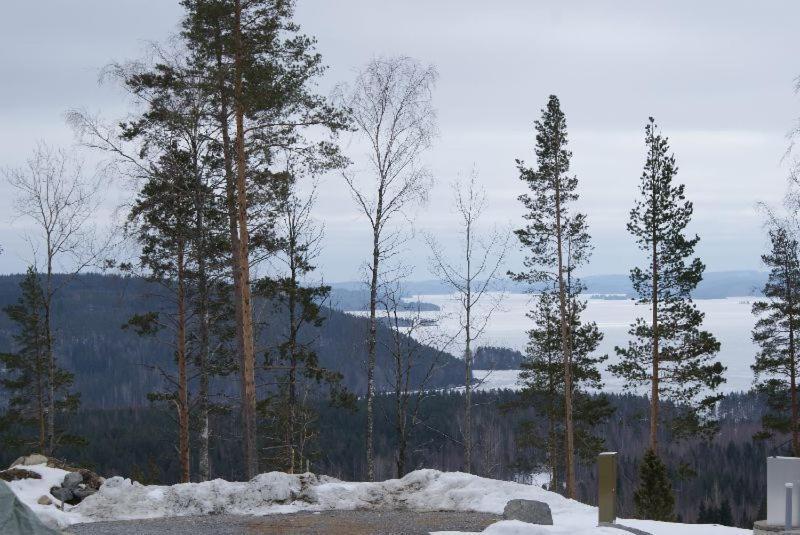 Riihivuoren Lomakylae Muurame Kamer foto